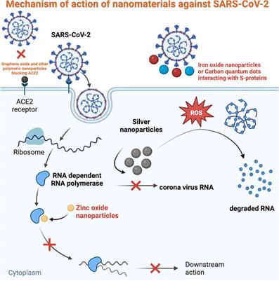 Application of nanomaterials against SARS-CoV-2: An emphasis on their usefulness against emerging variants of concern